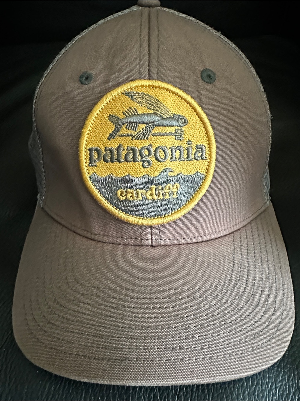 Patagonia Flying Fish Trucker Hat